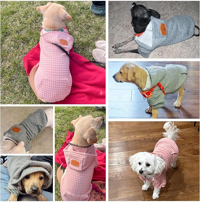 BEAUTYZOO Small Dog Hoodie Sweater with Pockets, Dog Clothes for Small Medium Dogs Boy Girl, Waffle-like Laminated Cotton Pet Coats with Hat and Leash Hole, All Weather Coat for Puppy Doggie Chihuahua