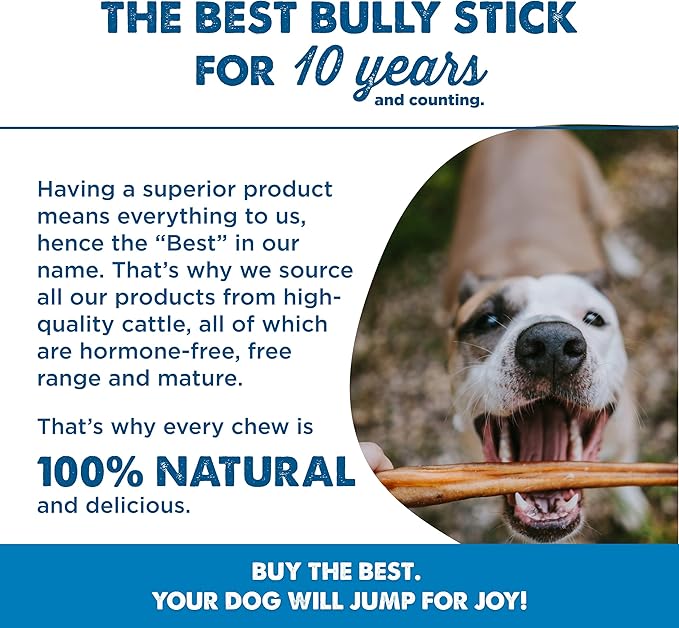 Best Bully Sticks Natural Jumbo Bully Sticks for Large Dogs - 6 Inch, 4 Count (Pack of 1) - 100% Free-Range Grass-Fed Beef, Single-Ingredient, Grain and Rawhide Free Long Lasting Dog Chews