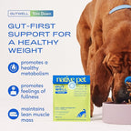 GutWell Trim Down - Weight Management Dog Food Topper - Dog Weight Loss Supplement Promotes Feeling of Fullness, Healthy Metabolism & Lean Muscle with Triple-biotic Blend & L-Carnitine - 60 Scoops