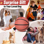 QDAN Dog Ball Basketball Toys, Balls with Straps, Dog Water Toy Pool Toys for Small Medium Dogs (6 Inch)