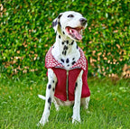 Tuff Pupper Reversible Fleece Sweater Vest for Dogs | Lightweight Comfortable Insulated Jacket | Front Zip Closure | Machine Washable | Built-in Leash Hole | Sizes for All Breeds (Small, Red)