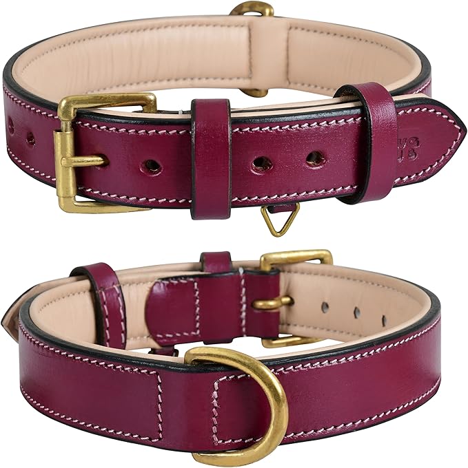 Leather Dog Collar - Pink, Medium - Handcrafted, Soft Padded Collar with Brass Buckle, Stylish & Durable (Medium (Fit Neck Size 14.5"-18.5"), Dark Pink)