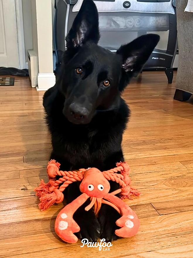 Lobster Dog Toys, Large Squeaky Rope Tug of War Dog Toys for Puppy, Small, Medium, Large Dogs, Interactive Stuffed Plush Toys