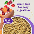 Halo Holistic Cage Free Chicken Cat Food, Grain Free Dry Cat Food, For Healthy Weight Support, Kibble for Indoor Cats, 3 lb Bag
