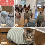 KYEESE 2Pack Dog Shirts Waffle for Small Dogs Stretchy Pet T-Shirts Lightweight Dog Tank Top Sleeveless Dogs Vest Breathable, X-Large, Green+Grey