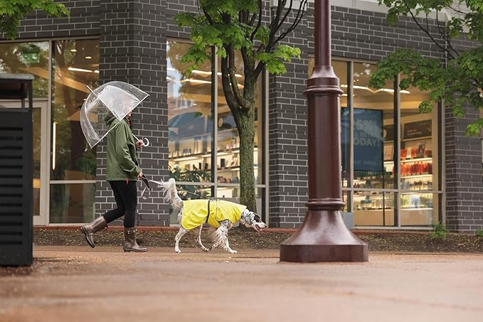 Goldpaw Rainpaw Waterproof Dog Raincoat - Durable Dog Rain Jacket for All Seasons - Easy to Wear, Adjustable, Premium Pet Outerwear - Made in The USA - Machine Washable - Navy - Size 8