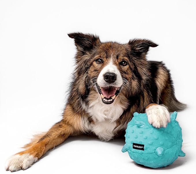 Playology Dog Toys | Puppy Toy Plush Sensory Ball for Dogs and Puppies for Dogs and Puppies | Jumbo Peanut Butter Scented Toy - Easy to Clean and Made from Non Toxic Materials
