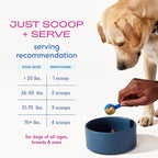 Native Pet Advanced Care - Hip & Joint Supplement for Dogs - Supports Joints, Cartilage, Muscles & Anti-Inflammatory with HMB, UC-II Collagen, Green Lipped Mussel & Hyaluronic Acid - 30 Scoops