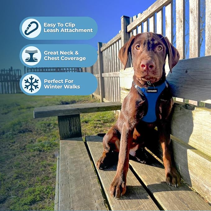 Best Pet Supplies - All Weather Mesh / Plush, Reflective, No Pull Harness for Small, Medium Dogs, Cats - Secure with Hook & Loop Fastener, Buckle, Double D-Rings - Royal Blue Faux Leather, XS