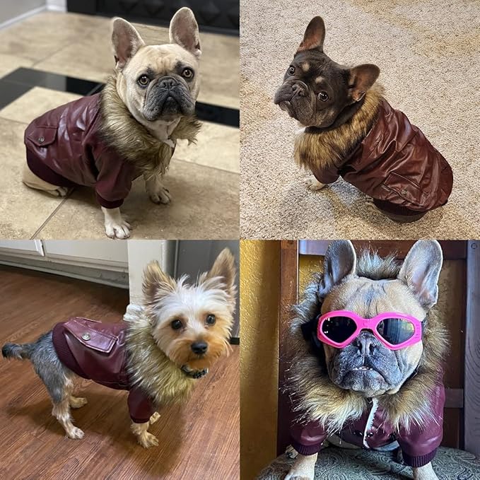 LESYPET Dog Leather Jacket for Small Dogs, Waterproof Dog Winter Jacket Puppy Coat with Fleece Lined, Ultra Warm Fur Collar Doggie Coat, Black X-Large