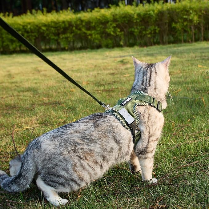 Cat Harness and Leash Escape Proof Extra Large Kitten Harness Maine Coon Cat Vest for Walking Travel, Dark Green, XL