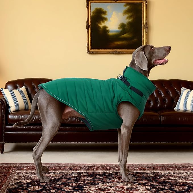 Kuoser Large Dog Winter Jacket Waterproof L | ·Storm Hood·-30°C Rated·Zip Off Harness·Husky·Skip The Struggle
