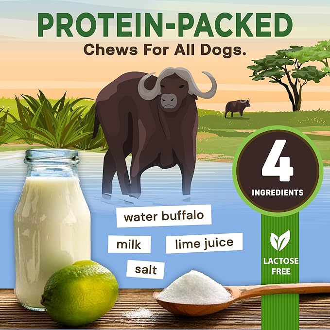 EcoKind Premium Gold Yak Cheese Himalayan Dog Chews, Healthy Dog Treats for Medium Dogs, All Natural, High Protein Dog Chew, Water Buffalo, Medium - 6 Chews