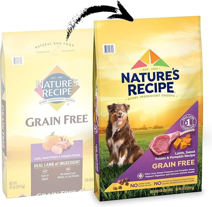 Nature's Recipe Grain Free Dry Dog Food, Lamb, Sweet Potato & Pumpkin Recipe, 12 lb. Bag