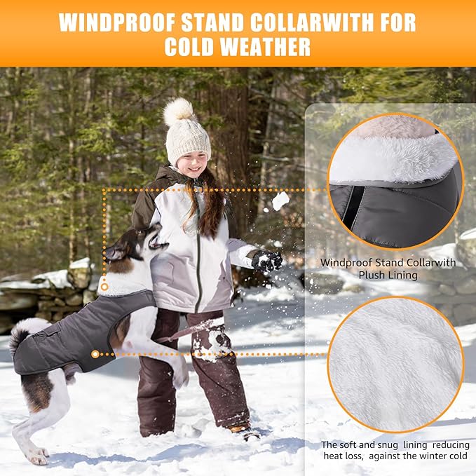 iBuddy Dog Winter Coats with Fleece Vest,Waterproof Warm Dog Snow Jacket Windproof, Reflective Adjustable Pet Dogs Cold Winter Coat for Dogs Girl Boy
