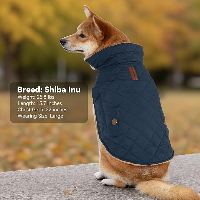 Dog Winter Coat, Warm Dog Jacket Windproof Waterproof Pet Cold Weather Coats for Small Dogs, Turtleneck Fleece Lined Dogs Clothes with Leash Hole, Navy Medium