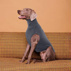ROZKITCH Dog Sweaters Soft Fleece Pullover Sweatshirt Pajamas, Turtleneck Warm Pet Cold Weather Jacket Stretchy Vest Jumpsuit Apparel Outfit Clothes for Small Medium Large Dogs Walking Sleep Grey M
