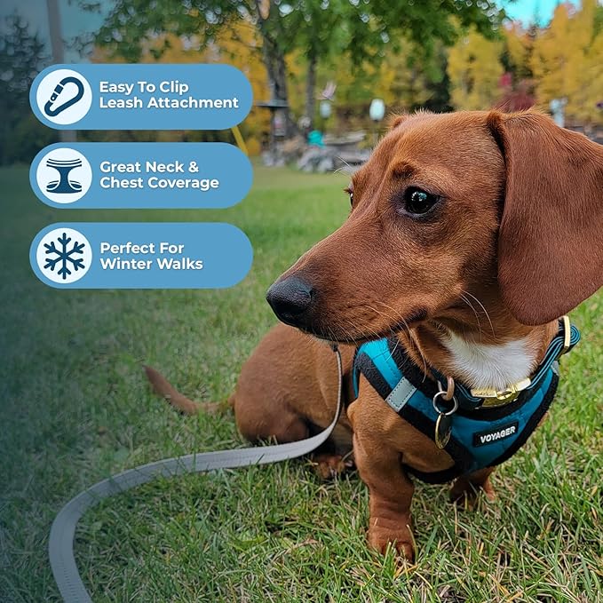 Best Pet Supplies - All Weather Mesh / Plush, Reflective, No Pull Harness for Small, Medium Dogs, Cats - Secure with Hook & Loop Fastener, Buckle, Double D-Rings - Turquoise Plush, L