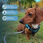 Best Pet Supplies - All Weather Mesh / Plush, Reflective, No Pull Harness for Small, Medium Dogs, Cats - Secure with Hook & Loop Fastener, Buckle, Double D-Rings - Turquoise Plush, L