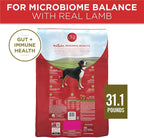 Purina ONE Dry Dog Food Lamb and Rice Formula - 31.1 lb. Bag
