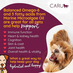 Caru - Classics Beef Stew for Dogs - Healthy Wet Dog Food or Food Topper - Balanced Omega Blend - 12.5 oz Cartons - Pack of 4