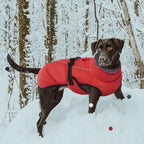 IECOii Warm Dog Coat - Adjustable Jacket with Reflective Fleece Turtleneck for Cold Weather, Soft Winter Coat for Small to Extra Large Dogs
