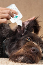 Forticept Dog and Cat Ear Infection Treatment, Dog Ear Drops with 1% Hydrocortisone 2 oz