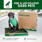 Fresh Patch Real Grass Patch for Dogs, Cats, and Large Pets 15-30 Pounds – Disposable Pet Grass Pee Pads – Indoor and Outdoor Potty Training Mat (24 Inches x 24 Inches)