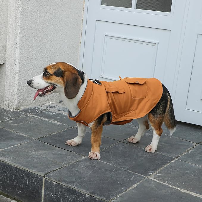 Workwear Style Dog Coats with Harness Built in for Small Dogs Windproof Warm Puppy Jacket with Storage Pockets for Cold Winter,BrightBeige M