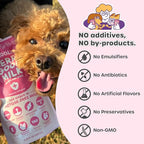 Choolip Berry Good Milk – 10-Pack Lactose-Free Vitamin Milk for Cats & Dogs | Vet-Formulated Pet Drink Supporting Urinary, Joint & Digestive Health | Grain-Free, Ready to Serve
