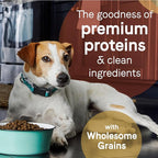 CANIDAE® Pure Limited Ingredient Premium Adult Dry Dog Food, Real Bison & Barley Recipe, Dog Dry, 24 Pounds