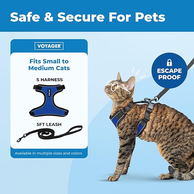 Voyager Escape Proof Cat Harness and Leash Set with Reflective Stitching, Neoprene Handle 5ft - Supports Small, Medium and Large Cats, Kittens for Walking by Best Pet Supplies - BT-Royal Blue, S
