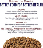 Best Breed Dr. Gary's Coldwater Recipe Slow-Cooked in USA, Natural Dry Dog Food for All Breeds and Sizes, 13lbs.