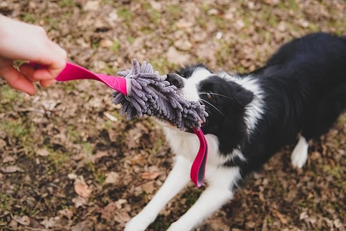 Dingo Dog Tug of War Toy - Outdoor Dog Toy with 2 Handles for Training, Shaggy Dog Toy, Soft Nubby-Textured, Noodle Plush with, Motivation and Fun, 15576, Assorted Colors