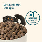 Nutrish Grain Free Salmon & Sweet Potato Recipe Dry Dog Food, 11.5 lb. Bag, Packaging May Vary (Rachael Ray)