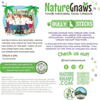 Gnaws Nature Bully Sticks for Dogs 11-12" (1Lb) - Mixed Thickness - Long Lasting for Aggressive Chewers and Large Dogs - Natural Beef Dog Chew Bones