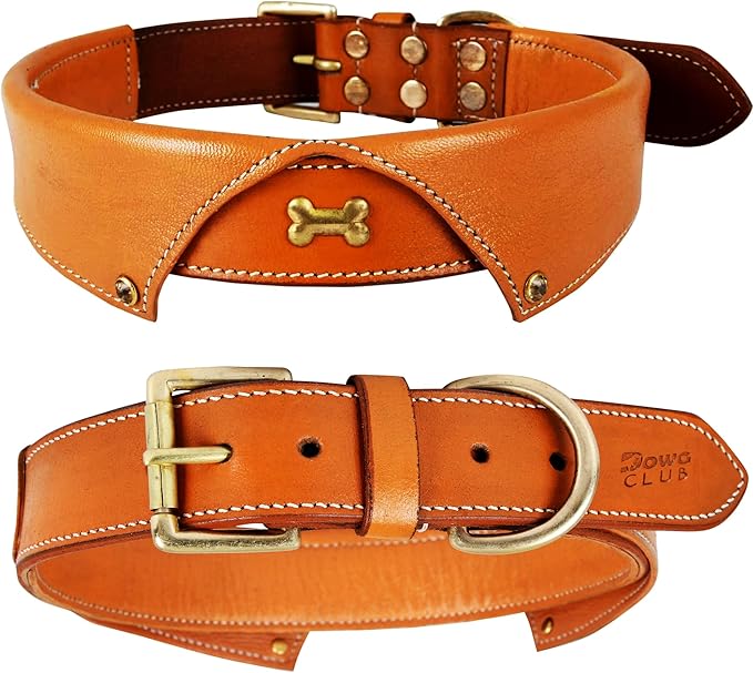| Genuine Leather Dog Collar | Full Grain, Heavy Duty | Comfortable, Padded, Strong | Best for Pups, Small, Medium, Large & XL Breeds (Large (Fit Neck Size 18.5"-22.5"), Shirt Collar - Tan)