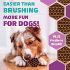 Yummy Combs Dog Dental Treats – Vet VOHC Approved – Delicious Chicken Protein – Removes Tartar with Cleaning Comb Shape – Dental Dog Treats for Extra Large Dogs (36oz, 18 Count)