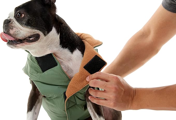 Gooby Sport Vest - Green, X-Small, Reflective Dog Vest with D Ring Leash, Warm Fleece Lined Small Dog Sweater