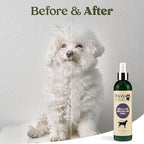 PAWFUME Skin & Coat Detangler Spray for Dogs, 4-Pack – Soothe Dry, Itchy Coats Quickly – Non-Toxic Chamomile & Oat Formula, Essential Fatty Acids & Vet-Certified – Dog Detangler Spray Dematting Care