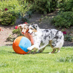 Chuckit! Big Air Fetch Ball Dog Toy (14 Inch) Herding Instincts Dog Toy, for Interactive, Non-Chewing Activities, for All Breeds, Inflating Pump Included