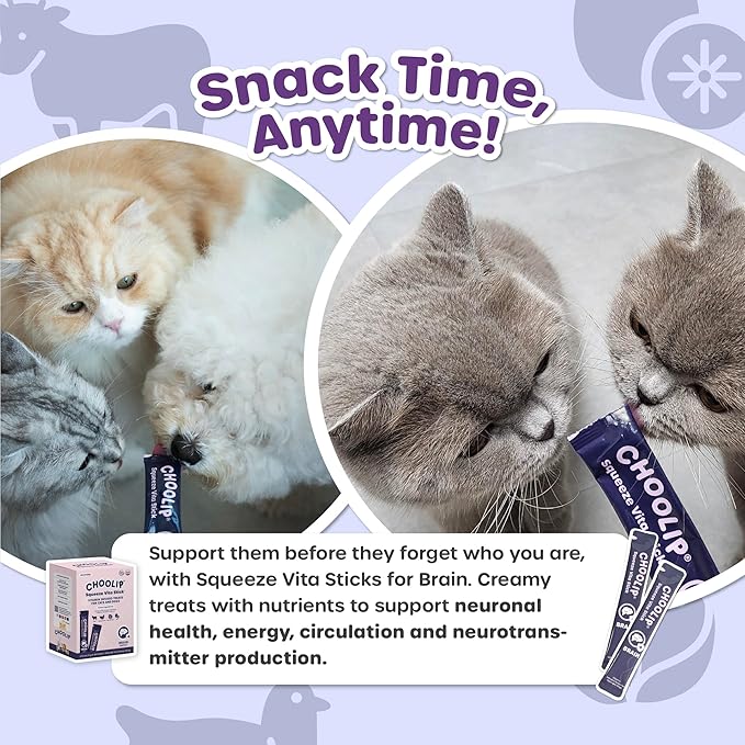 Choolip Squeeze Vita Stick Lickable Cat Treats & Dog Puree – 49-Count Brain Support Tubes, Creamy Grain-Free High-Protein Puree with DHA, Omega 3 & Vitamin B12 for Memory & Cognitive Health