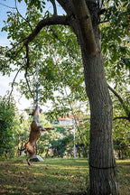 YES4QUALITY Flirt Pole for Dogs, 2 Durable Spring Poles with Strong Dog Rope Toy, Heavy Duty Lure Pole for Dogs of Any Size, Dog Toy for Fun Obedience Training & Exercise, Pull & Tug of War Toy