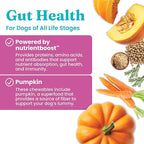 Solid Gold Healthy Dog Treats - Functional Pumpkin Dog Teats w/Flaxseed & Gentle Superfoods for Gut Health & Digestion - Gluten Free Healthy Training Treat for Dogs of All Ages & Sizes - 5.2 oz
