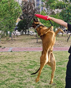 Clysrou Dog Tug Toy Dog Tough Jute Bite Pillow Lasting Training Equipment Puppy to Large Dogs Interactive Toy
