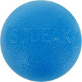 Outward Hound by Planet Dog Squeak Ball Bouncy Fetch Dog Toy, Blue