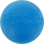 Outward Hound by Planet Dog Squeak Ball Bouncy Fetch Dog Toy, Blue