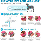 Outward Hound Granby Splash Dog Life Jacket, High-Buoyancy Dog Life Vest for Swimming, Boating, and Water Safety, XS, Pink