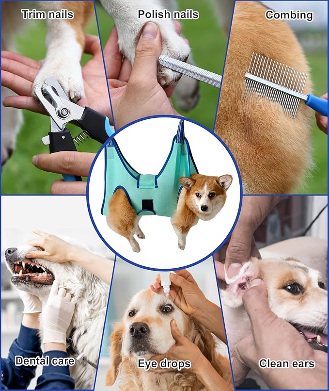 Dog Grooming Hammock,Hanging Harness Holder for Nail Clipping, Nail Trimming Hammock with Wide Strap, Grooming Sling Hanger for Claw Care (X-Large 50 LB Max/Turquoise)