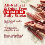Natural Farm Odor-Free Bully Sticks (4”, 8oz) All-Natural Long-Lasting Chews, 100% Beef Pizzle, Grass-Fed, Grain-Free, Hormone-Free, Protein for Muscle Development & Energy, Perfect for Small Dogs